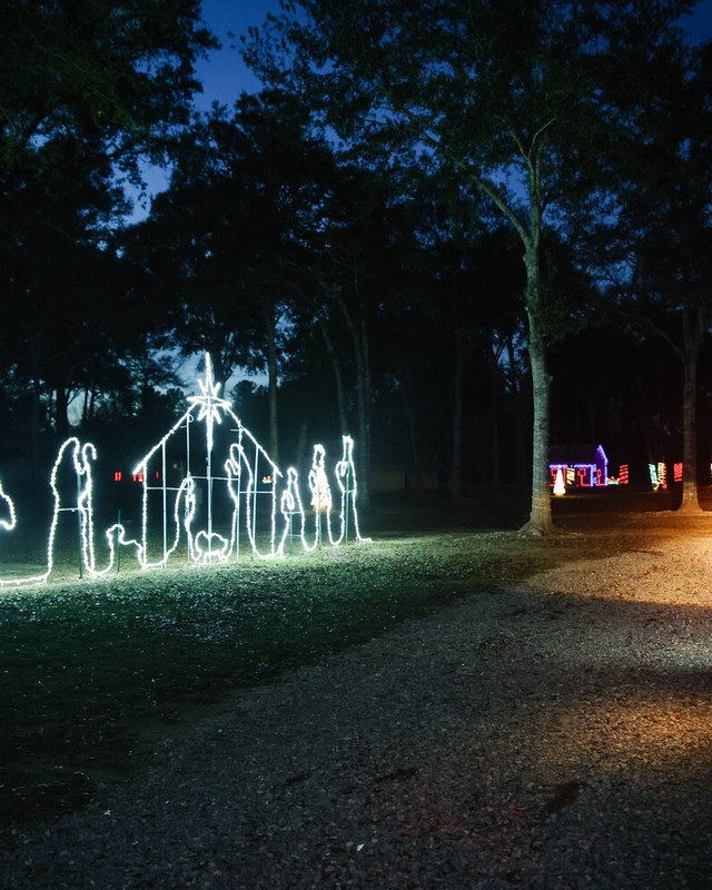 Image for Christmas at Bicentennial Park