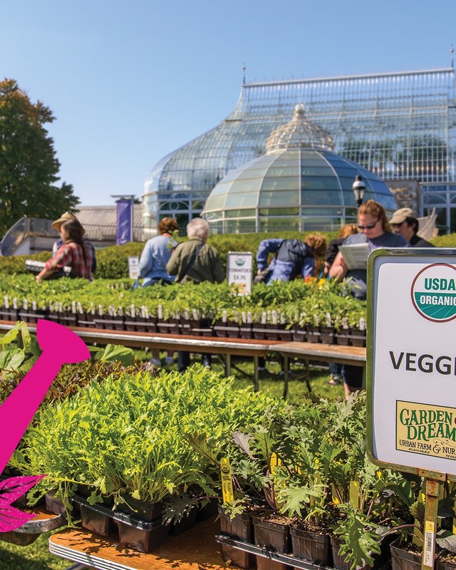 Image for Phipps May Market