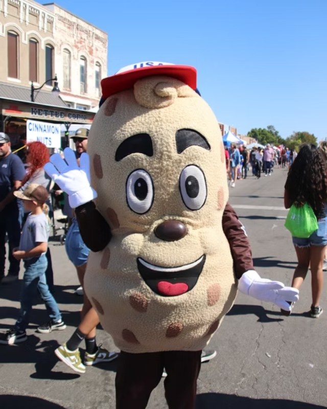 Image for Whitesboro Peanut Festival