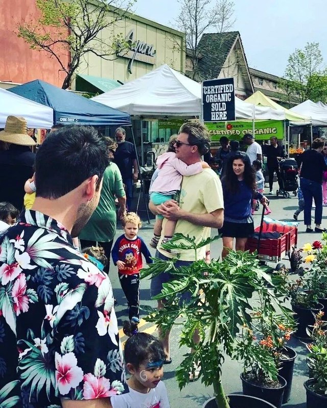 Shoppers and vendor tents at an outdoor farmers market with potted plants and an organic produce sign.