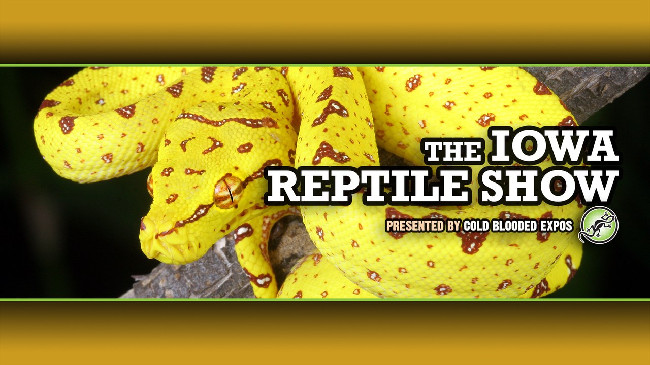 Image for Iowa Reptile Show