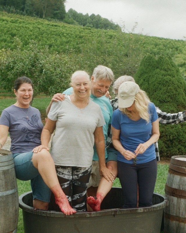 Image for 14th Annual Grape Stomp! 🍇