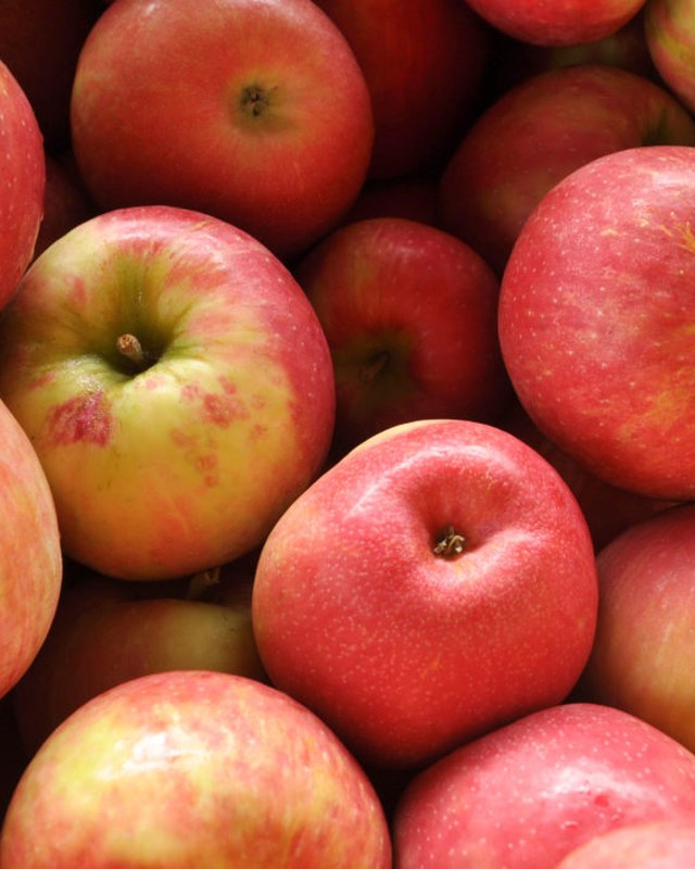 Image for Shoreham Apple Fest