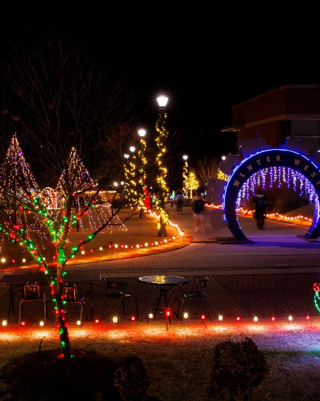 Image for Winter West Wonderland