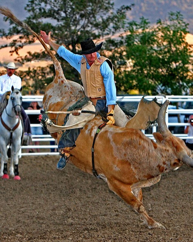 Image for 2026 Benz Bad Bulls
