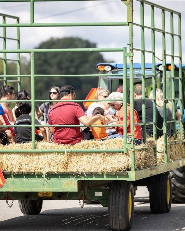 Image for Hay Day
