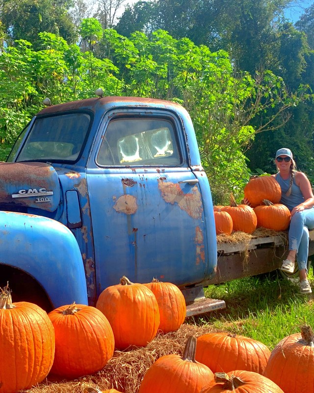 Image for Great Scott Farms Fall Festival