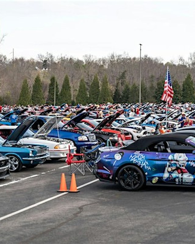 Image for Arts + Auto Festival