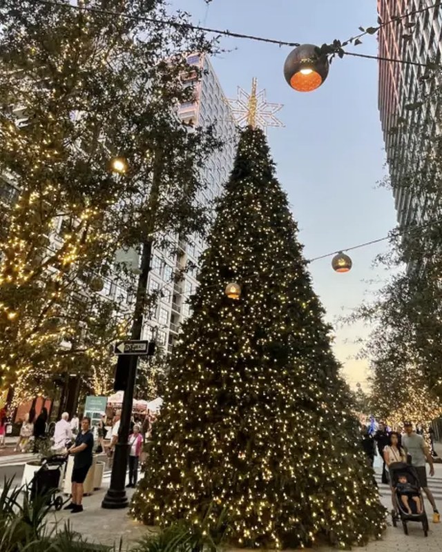 Image for Tampa Bay Holiday Market
