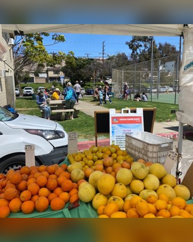 Market stall with piles of oranges and lemons in front of a sign and visitors gathered on a grassy park area.