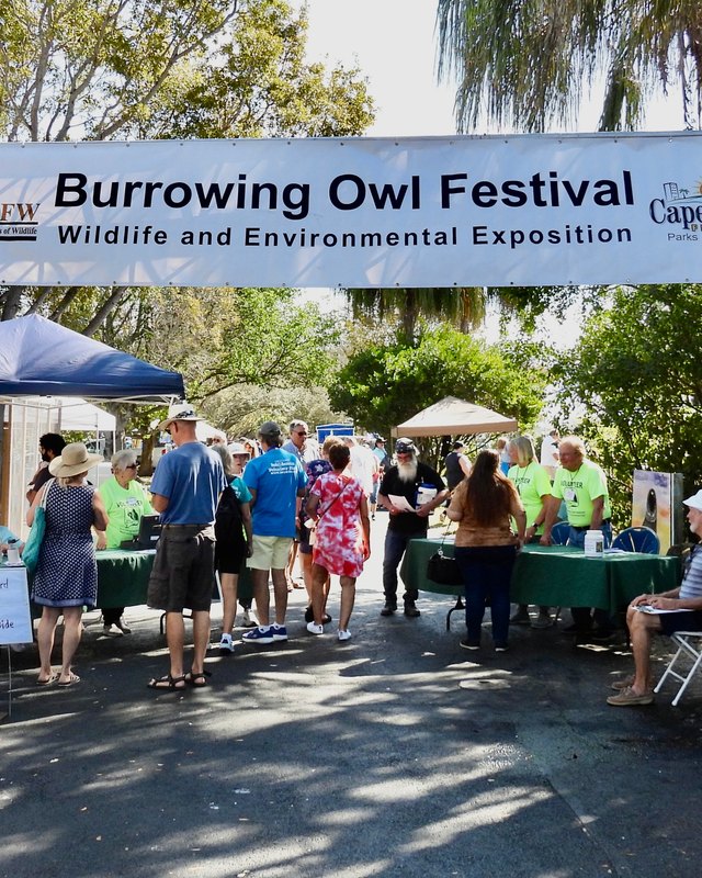 Shoppers browsing booths under the Burrowing Owl Festival banner at Rotary Park in Cape Coral.