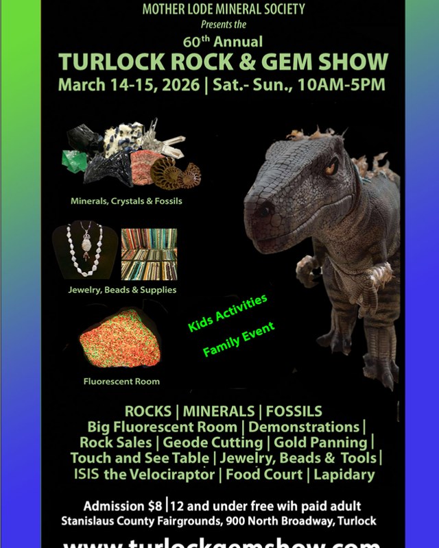 Image for Turlock Rock & Gem Show