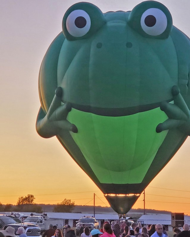 Image for Crown of Maine Balloon Fest