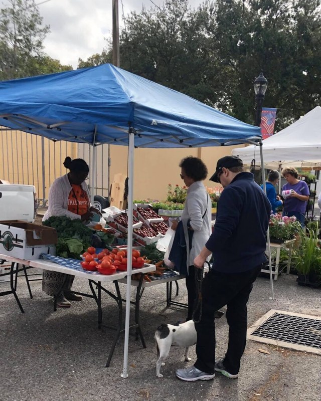 Image for 3rd Saturday Market in the Park