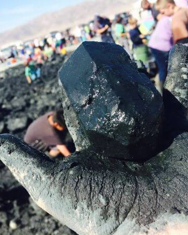 Image for Gem-O-Rama (Trona Gem & Mineral Show)