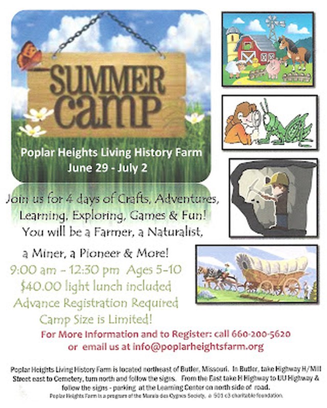 Image for Poplar Heights Summer Festival