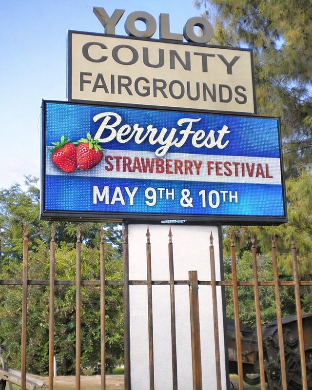 Image for BerryFest Strawberry Festival