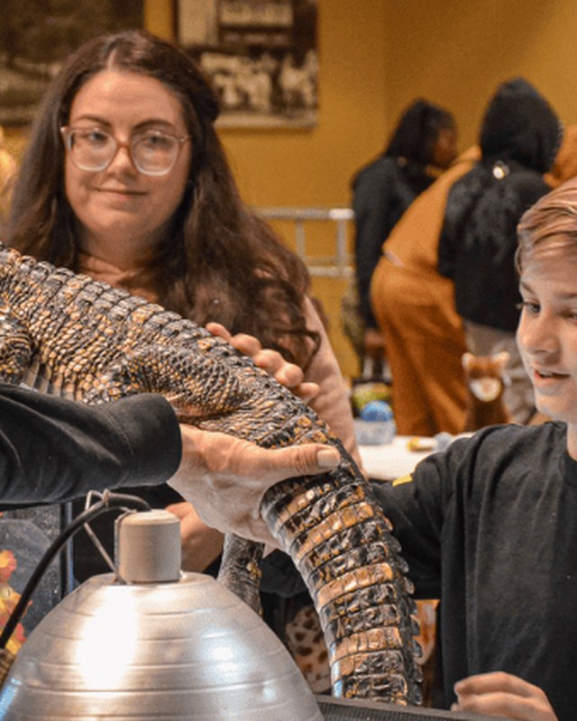 Image for North American Reptile Breeders Conference
