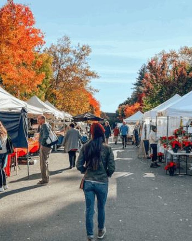 Image for Northwest Indiana Fall Craft & Vendor Market