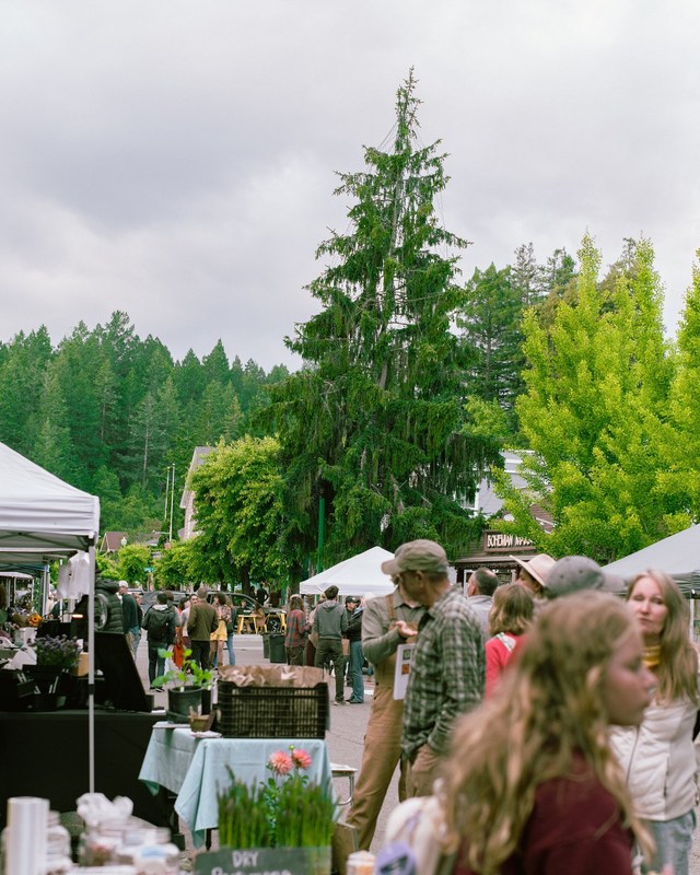 Image for Occidental Community Farmers Market