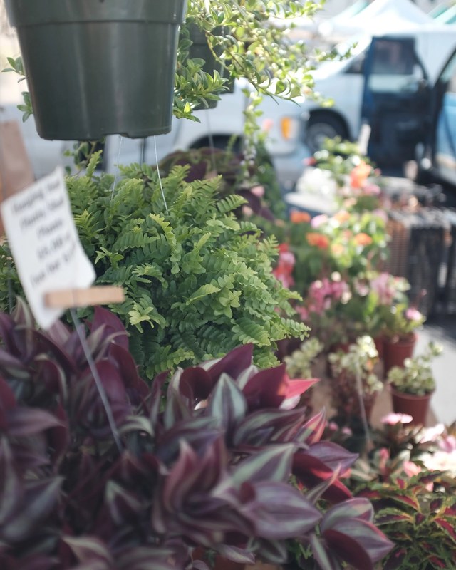 Image for Corona Certified Farmers Market