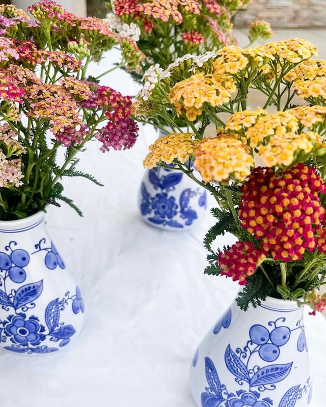 Image for Oakmont Farmers Market