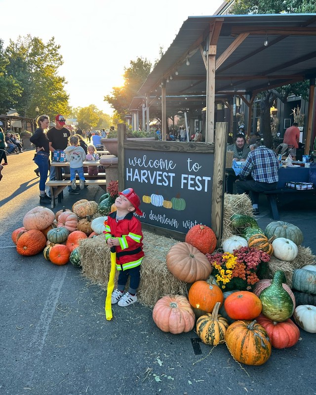 Image for Downtown Winters Harvest Fest