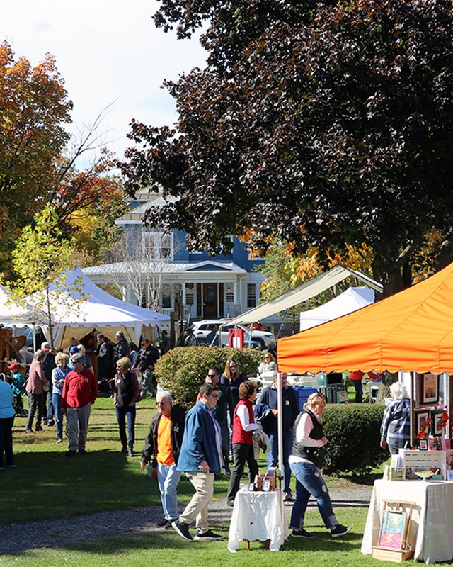 Image for Art in the Park