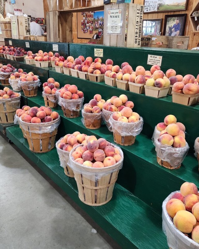 Image for 36th Annual Peach Festival