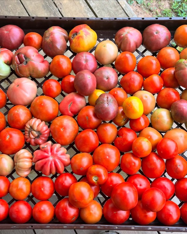 Image for Hampstead Farmers Market
