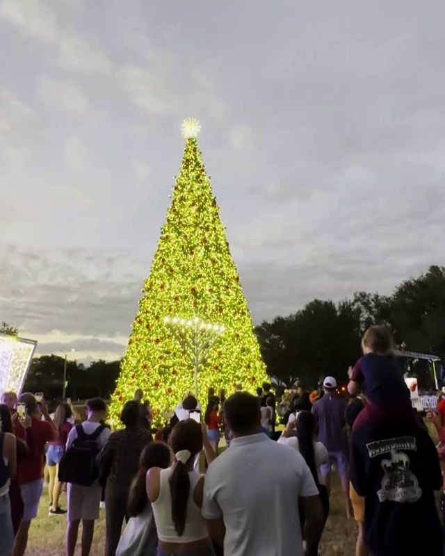Large illuminated tree on a lawn with a dense evening crowd of visitors in front.