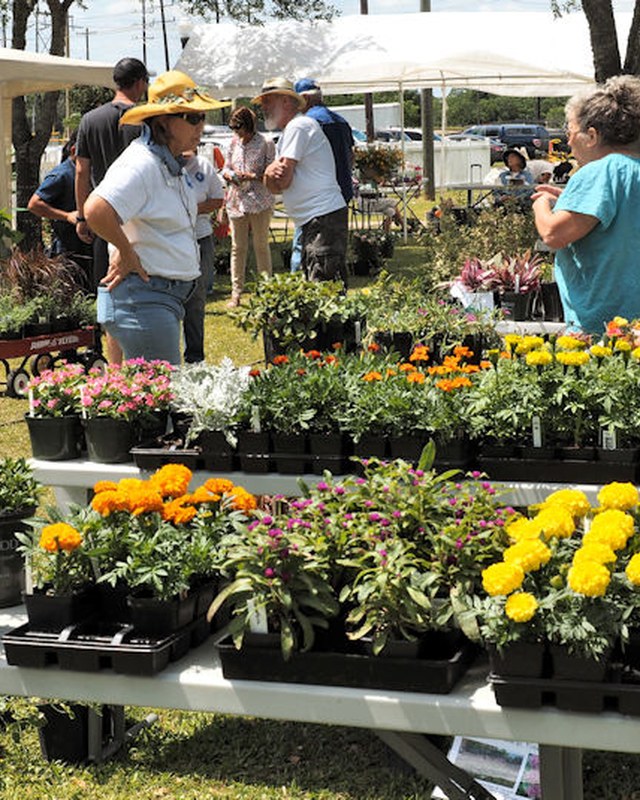 Image for Sealy Area Historical Society Spring Fest