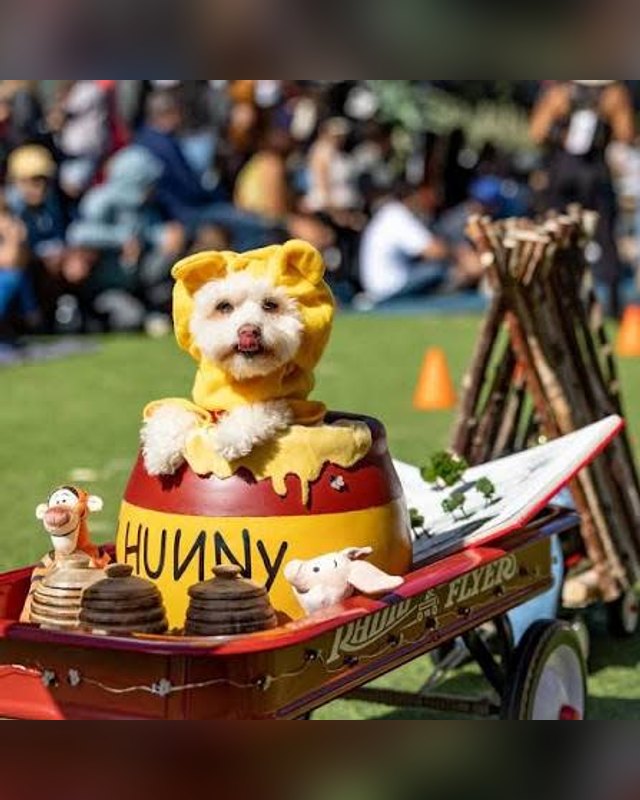 Small white dog in a yellow Winnie-the-Pooh costume sitting on a Hunny pot on a red wagon, with a blurred crowd behind.
