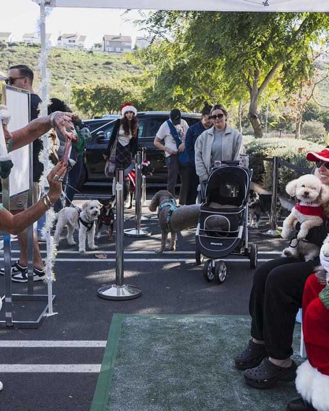 Image for Pawliday PetMarket