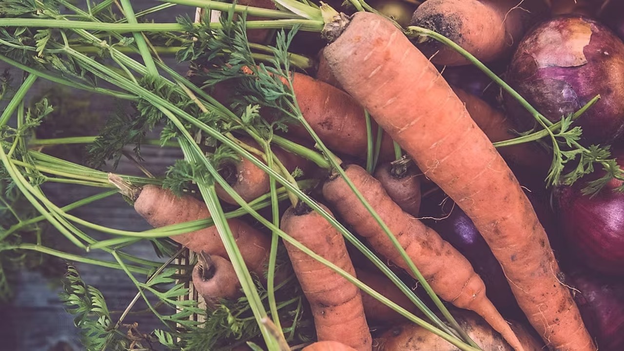 Image for Boo Bash! - Halloween (Victoria Farmers' Market special event)