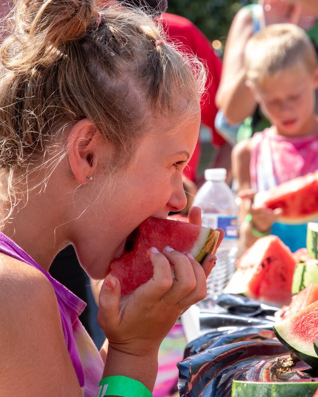 Image for Martinsburg Picnic