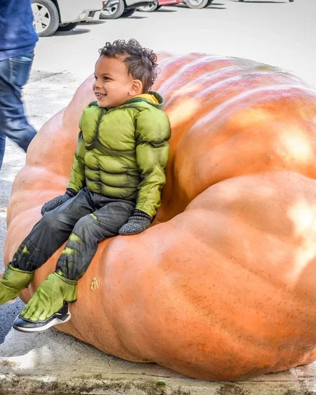 Image for Fall Fest on Broadway