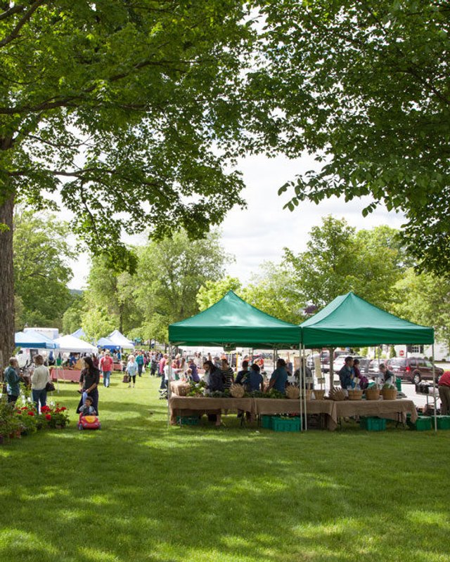 Shoppers and tents on the grass at a morning farmers market under shade trees