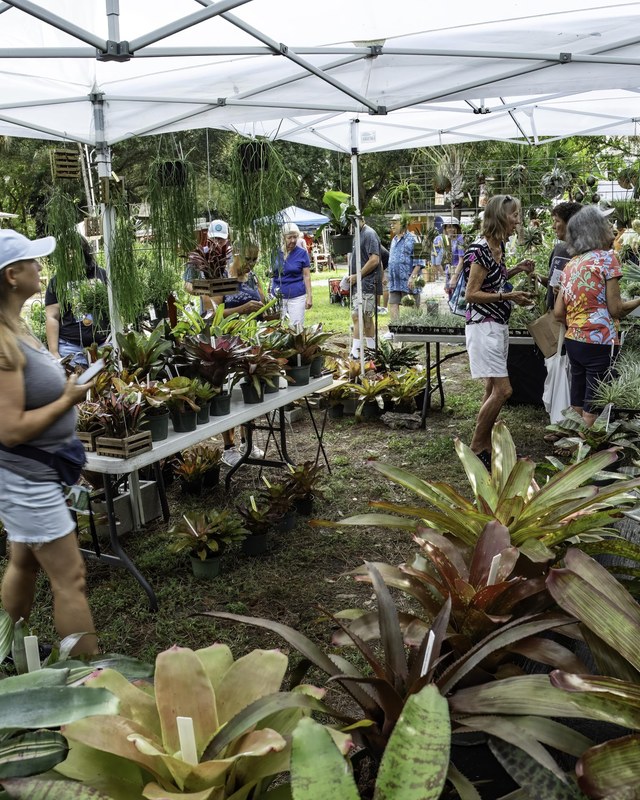 Image for Heathcote's 39th Annual Fall Garden Festival