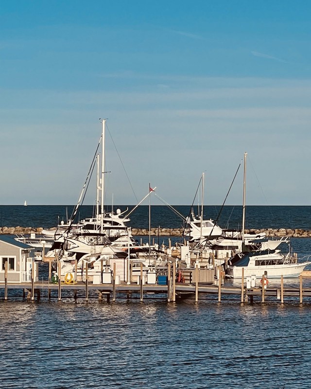 Image for Harrisville Harbor Farmers Market