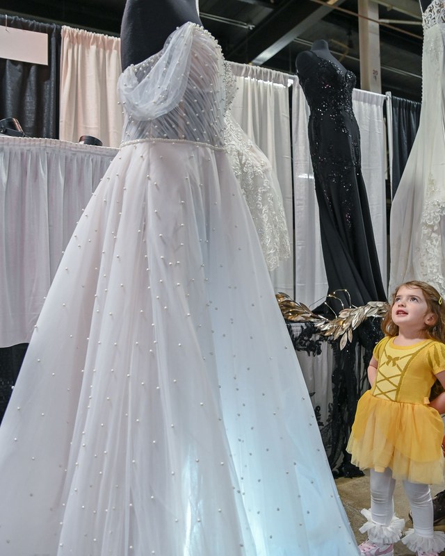 Image for Springfield Wedding & Bridal Expo